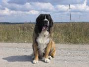 Питомник Питомник